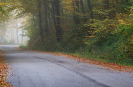fullness-of-life