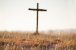 Alive with Christ - a Family Devotion for Easter