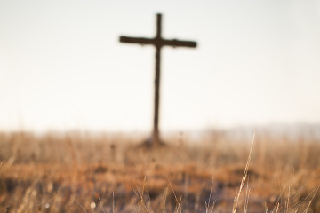 Alive with Christ - a Family Devotion for Easter