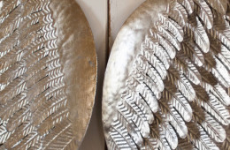 An angel wing photo for Christmas devotional