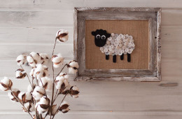 little lost sheep