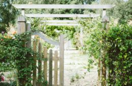 narrow gate