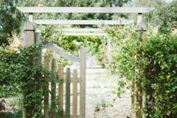 narrow gate